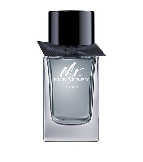 mr burberry eau de toilette spray burberry|mr burberry indigo fragrantica.